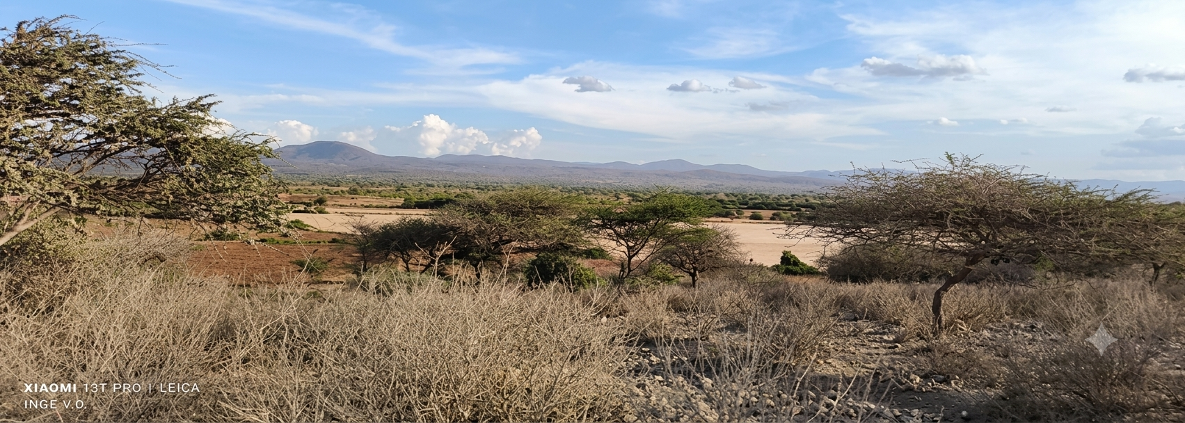 Parc National du Tarangire — éléphants
