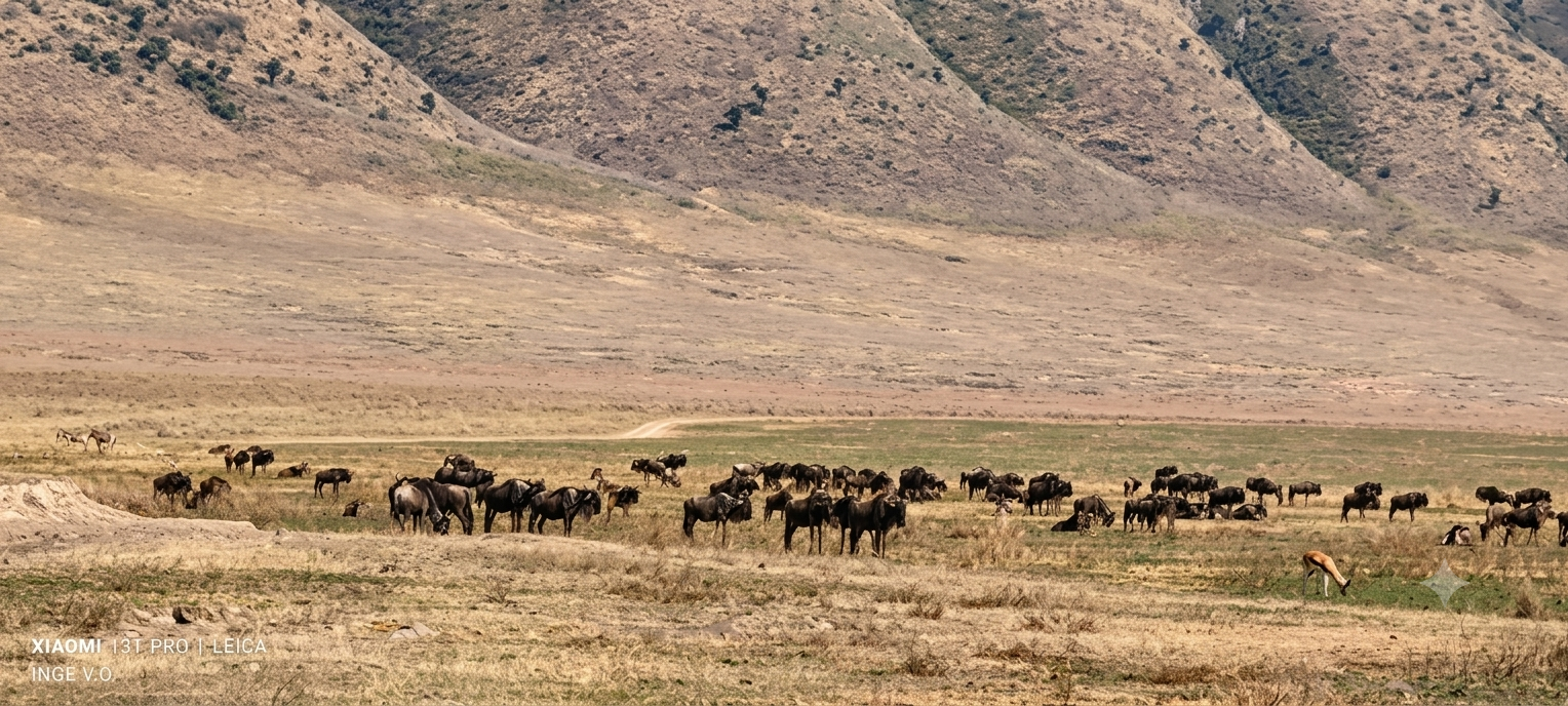 Cratère du Ngorongoro